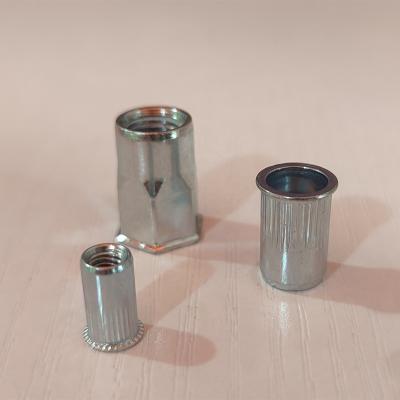 China Rivet Nut Solid Round Solid Head Rivet Hollow Semi Tubular Rivet xiangdong Te koop