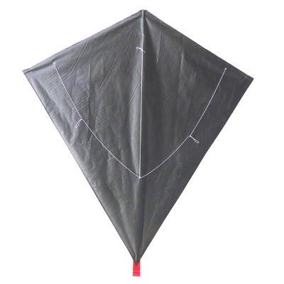 China Polyester Large Ozone Diamond Flying Kite Kite for sale