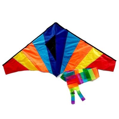 China Ripstop Polyester Best Selling Outdoor Toy Rainbow Delta Kite for Kids and Adults for sale