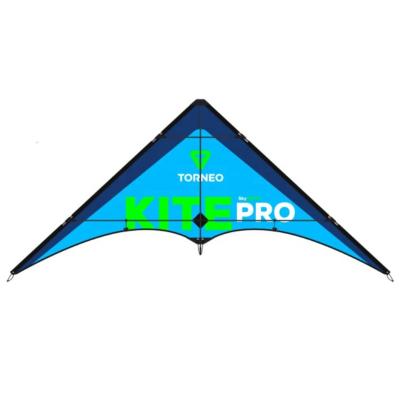 China Stunt Double Line Polyester Huge Sport Kite for sale