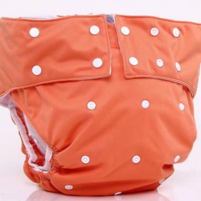 China Waterproof Portable Soft Washable Cloth Reusable Adult PUL Diaper Elder Care Library for sale