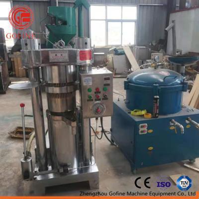 China Het verticale Hydraulische de Persmachine van de Zonnebloem Koude Olie Drukken Te koop