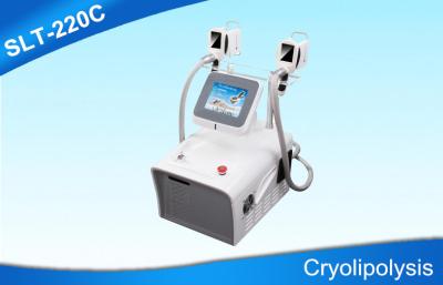 China Double Handles Cryolipolysis Slimming Machine For Body Sculpting / Fat Removal for sale