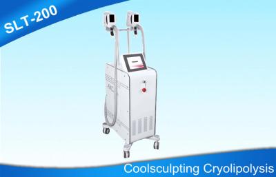 China Fettabbau-Ausrüstung Coolshape Cryolipolysis, Kryotherapie-Körper-Sculpting Maschine zu verkaufen