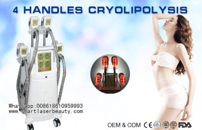 China Het Vermageringsdieetmachine van vier Handvattencryolipolysis/het Bevriezen van Coolsculpting Vet Salonmateriaal Te koop