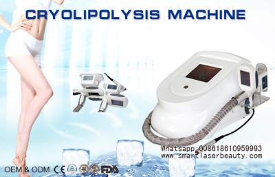 Chine Cryolipolysis portatif amincissant la machine, mini gros dispositif de congélation de Cryotherapy à vendre