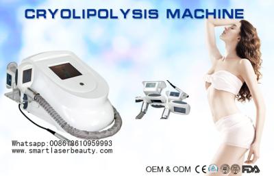 Chine Utilisation personnelle Cryolipolysis amincissant la machine/grosse machine portative de retrait de Coolsculpting à vendre