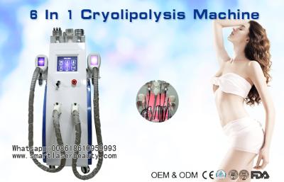 China Multifunctionele Cryolipolysis-Vermageringsdieetmachine met Cavitatie/Radiofrequentie/Lipo-Laser Te koop