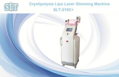 China Fat Freezing Lipo Laser Slimming Machine  for sale