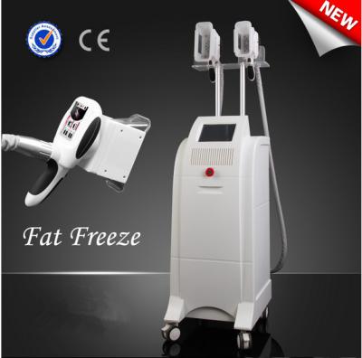 China Vertical Zeltiq Cool Sculpting Body Slimming Machine With Two Cryolipolysis Handles for sale