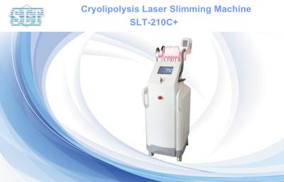 China Zeltiq Coolsculpting Lipo Laser Slimming Machine , 8 Inch LCD Cryolipolysis Equipment for sale