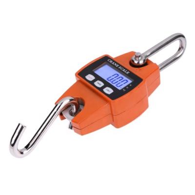 China Carbon Steel Digital Hanging Scale Amazon Hot Sale 300kg Portable NC Mini Crane Scales Made In for sale