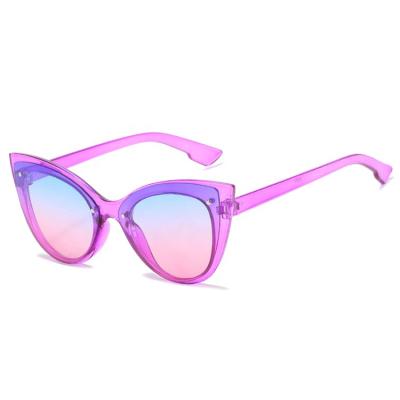 China Optical Frame Logo Shades Sunglasses Custom Cat Eye Xuting Colorful Cat Eye Sunglasses Women's River Big for sale