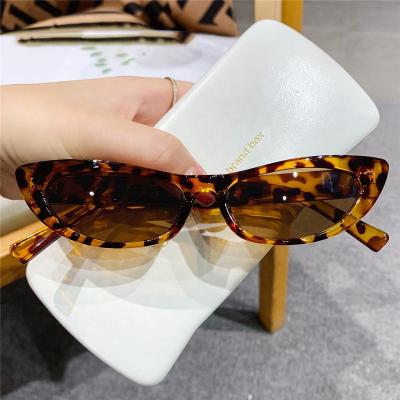 China 2022 Cat Eye Sunglasses Wholesale Leopard Shades Sunglasses New Small Frame Triangle Retro Fashion Sun Glasses For UV400 for sale