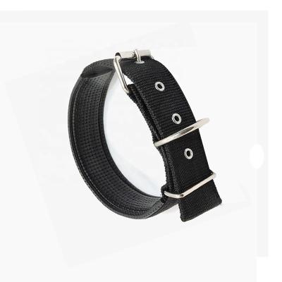 China Padded Adjustable Dog Collar Leather Padded Nylon Pet Collar 2.5*55cm Customized for sale