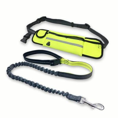 China Double Bungee Padded Elastic Adjustable Dog Padded Waist Waterproof Bag Dog Hands Free Leash For Running for sale