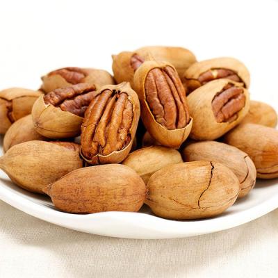 China Dried raw pecan nuts with shell for sale