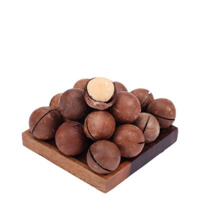 China Hot Daily Nuts Dried High Quality Australia Hazelnuts With Good Price Suitable For All Age To Eat for sale