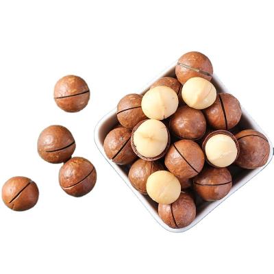 China High quality dried Australian hazelnuts are processed, stored and sold at affordable prices for sale