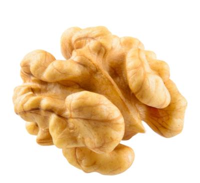 China The dry kernel of nuts halves highly nutritional and best quality for sale