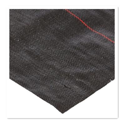 China Modern PP Geotextile Fence Agricultural Ground Cover Fabric for sale