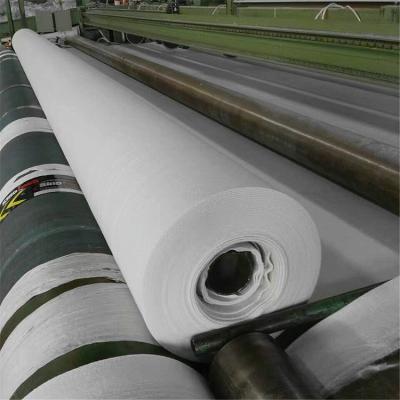 China Chinese Cheap Geotextile Polyester Fabric Fence Mud Compound Geotextile for sale