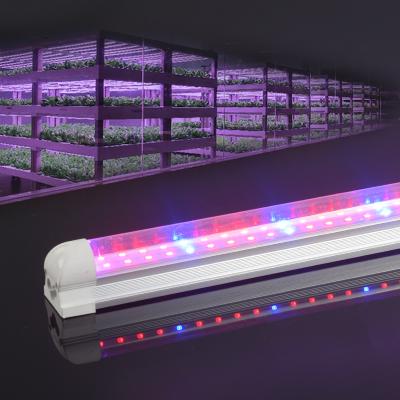 China Seed Starting Low Power Consumption Hydroponic Led Plant Tube Lamp 36w Full Spectrum Led For Growing Light for sale