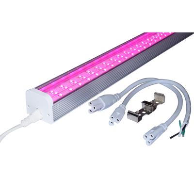 China Seed Starting New Product To Grow Light 20 Watt 4 Ft Led To Grow Light Hydroponic SMD 2835 Blue And Red Light for sale