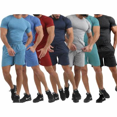 China Cotton Polyester Mens 2 Pieces Set Mens Streetwear Sports Casual Fitness Two Pieces Man Set Knitted Shorts With T-Shirts Set for sale