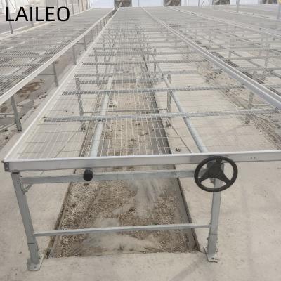 China Mobile Rolling Bench /Movable Seedling Used In Greenhouse for sale