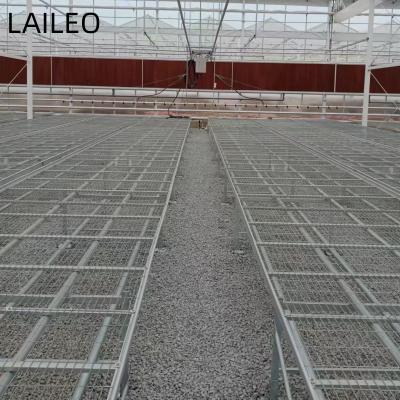 China Mobile rolling bench and mobile seedbed used for vegetables for sale