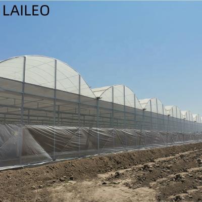 China Stable structure easily assembled low cost hot sale multi-span double film greenhouse for tomato for sale