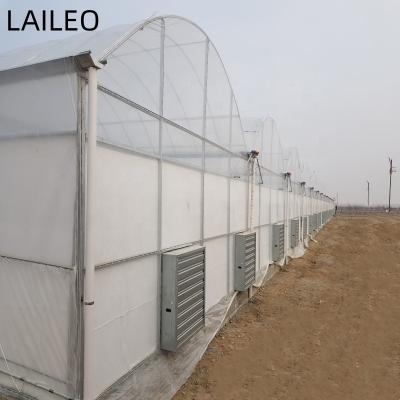 China Stable Structure Easily Assembled Agriculture Multi-span Plastic Sheet Greenhouse Tomato Greenhouse and Strawberry Greenhouse for sale