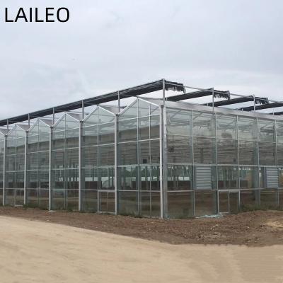 China Stable Structure Easily Assembled Best Selling Large Size And Multi-span Glass Greenhouses For Agriculture for sale