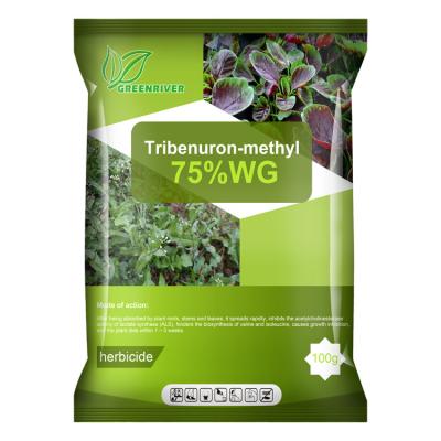 China 101200-48-0 Tribenuron Methyl Selective Herbicides For Maize , White powder for sale