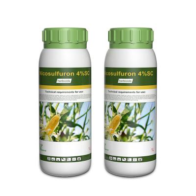 China 111991-09-4 Nicosulfuron post emergent herbicide for johnsongrass for sale