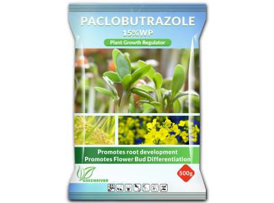 China Estimulador de crecimiento de plantas profesional de paclobutrazol cas 76738-62-0 en venta