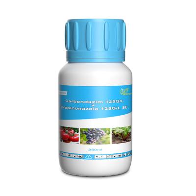 China Tebuconazole 125gl + Propiconazole 125gl EC foliar fungicide for sale