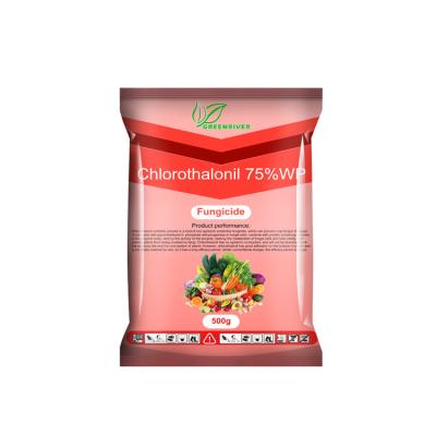 China Clorotalonil 75%WP vegetales y plantas Fungicida CAS 1897-45-6 en venta