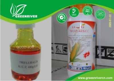 China Acetochlor Select Herbicide 34256-82-1 , Pre Emergent Herbicides IN Yellow liquid for sale