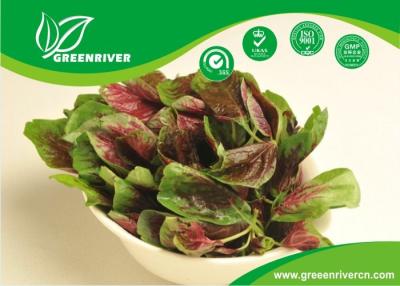 China Red Round Leaf Amaranth Seeds with with green edge for planting for sale