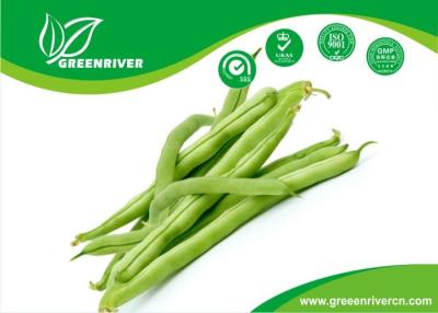 China Pole type Black / Green Snap bean seeds Purity 95 % / Neatness 98% for sale