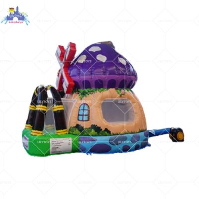 China PVC Inflatable Castle Small Bouncy Bouncer With For Kids for sale