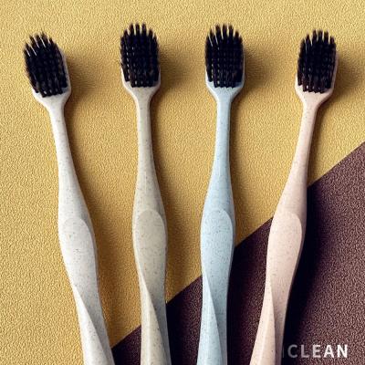 China Biodegradable Binchotan Toothbrush Wheat Straw Charcoal Binchotan Toothbrush Eco-friendly for sale