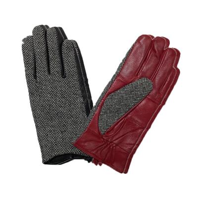 China Special Design Widely Used Simple Women Black Leather Fashion Gloves 7SF010PF for sale