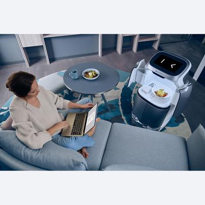 China Keenon Food Delivery Robot Browsing Robot For Hotel Catering Autonomous Recharging Automatic Server for sale