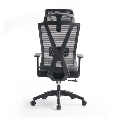 China SGS BIFMA Standard Competitive Ergonomic Mesh Office Chair with Big Lumbar Support for sale