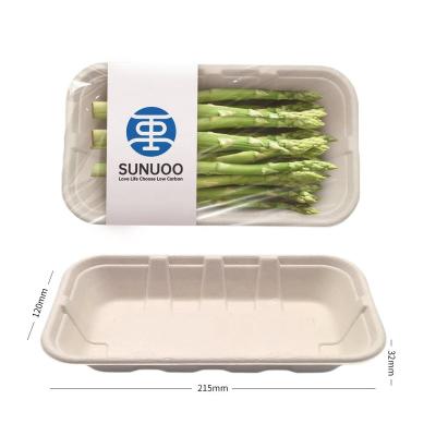 China Compostable Biodegradable Less Disposable Cake Tray Sugarcane Pulp Custom 90 Day High Quality Eco Food Packaging Tray for sale