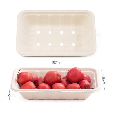 China Custom Disposable Biodegradable Sugar Cane Bagasse Paper Pulp Tray Food Packaging Trays for sale