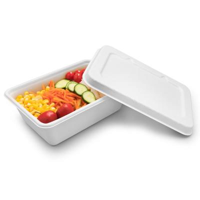 China Eco-Friendly Biodegradable Bagasse Frozen and Hot Takeout Lunch Box Storage Box Food Bagasse Rectangular Lunch Box with Lid for sale